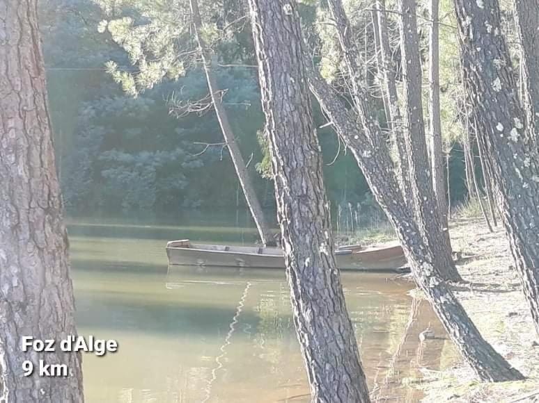 Casa Da * Figueiro Dos Vinhos