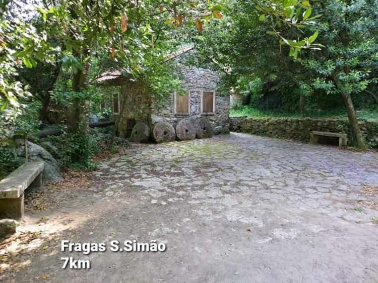 Casa Da Appartement Figueiro Dos Vinhos